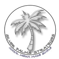 Silver Palms Strategies logo, Silver Palms Strategies contact details