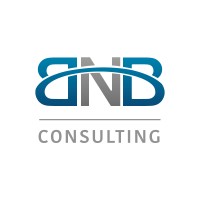 BNB Consulting LLC logo, BNB Consulting LLC contact details