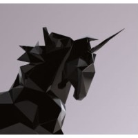 Disruptive Unicorns logo, Disruptive Unicorns contact details