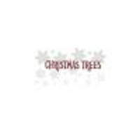 Tannenbaum Tree Farm logo, Tannenbaum Tree Farm contact details