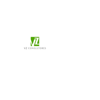 VZ Consultores logo, VZ Consultores contact details