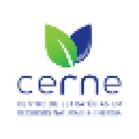 CERNE - Centro de Estrategias em Recursos Naturais e Energia logo, CERNE - Centro de Estrategias em Recursos Naturais e Energia contact details