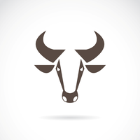 B. A. Bull, Inc. logo, B. A. Bull, Inc. contact details