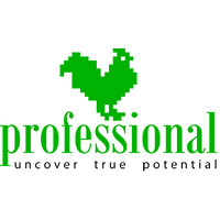 Professional HR Agency logo, Professional HR Agency contact details