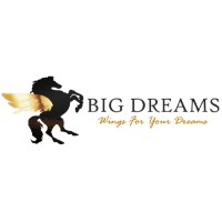 Big Dreams logo, Big Dreams contact details