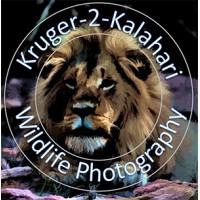 Kruger2Kalahari logo, Kruger2Kalahari contact details