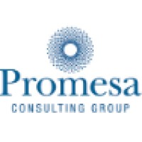 Promesa Consulting Group, Inc. logo, Promesa Consulting Group, Inc. contact details