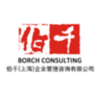 Borch Consulting logo, Borch Consulting contact details