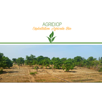 AGRIDIOP logo, AGRIDIOP contact details