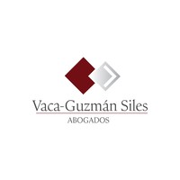 Vaca Guzmán Siles Abogados Soc. Civ. logo, Vaca Guzmán Siles Abogados Soc. Civ. contact details