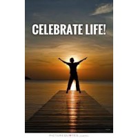 Life is a celebration logo, Life is a celebration contact details