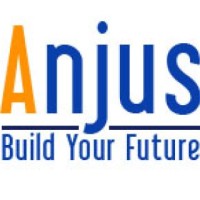 ANJUS LLC logo, ANJUS LLC contact details