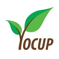 Yocup Company logo, Yocup Company contact details