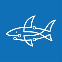 BlueShark logo, BlueShark contact details