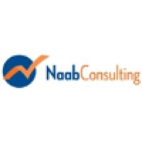 Naab Consulting logo, Naab Consulting contact details