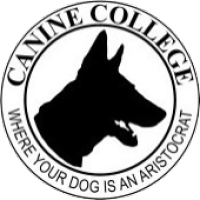 Canine College logo, Canine College contact details