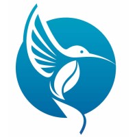 Bluebird Accounting logo, Bluebird Accounting contact details