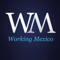 Working Mexico Headhunter logo, Working Mexico Headhunter contact details