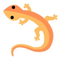 Gecko Hybrid Agency logo, Gecko Hybrid Agency contact details