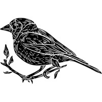 Purple Finch Events logo, Purple Finch Events contact details