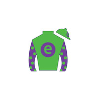 e Five Racing Thoroughbreds logo, e Five Racing Thoroughbreds contact details