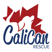 CaliCan Rescue - Edmonton Dog Rescue logo, CaliCan Rescue - Edmonton Dog Rescue contact details