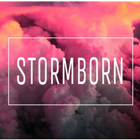 Stormborn logo, Stormborn contact details