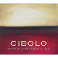 Cibolo Capital Partners logo, Cibolo Capital Partners contact details