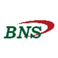 BNS ANALYTICS logo, BNS ANALYTICS contact details