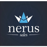 NERUS Strategies logo, NERUS Strategies contact details