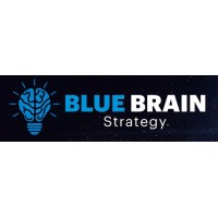 BlueBrain Strategy logo, BlueBrain Strategy contact details