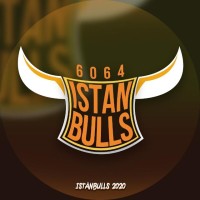 İstanBulls Robotic Team 6064 logo, İstanBulls Robotic Team 6064 contact details