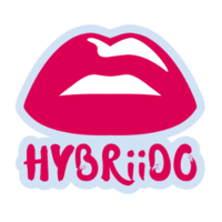 Hybriido logo, Hybriido contact details