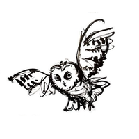 Owl Rescue Centre NPC logo, Owl Rescue Centre NPC contact details