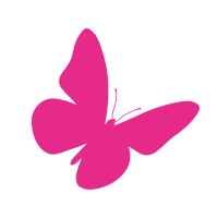 Butterfly Systems logo, Butterfly Systems contact details