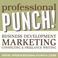 Professional PUNCH Marketing logo, Professional PUNCH Marketing contact details