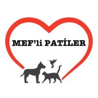 MEF'li Patiler logo, MEF'li Patiler contact details