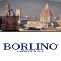 Borlino logo, Borlino contact details