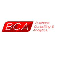 Business Consulting Analytics logo, Business Consulting Analytics contact details