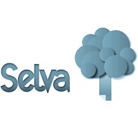 Selva Consulting logo, Selva Consulting contact details