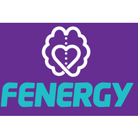 Fenergy Ltda logo, Fenergy Ltda contact details