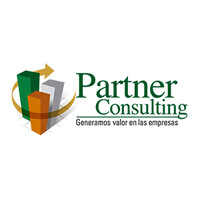 Partner Consulting Perú logo, Partner Consulting Perú contact details