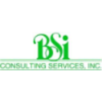 BSi Consulting, Inc. logo, BSi Consulting, Inc. contact details