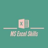 MS Excel Skills logo, MS Excel Skills contact details