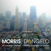 Morris+D'Angelo -- Not Just another CPA Firm logo, Morris+D'Angelo -- Not Just another CPA Firm contact details