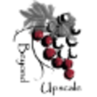 Beyond Upscale, LLC logo, Beyond Upscale, LLC contact details