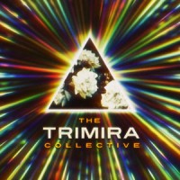 The TRIMIRA Collective logo, The TRIMIRA Collective contact details