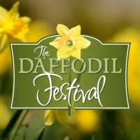 The Daffodil Festival logo, The Daffodil Festival contact details