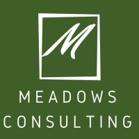 The Lull Doctor / Meadows Consulting logo, The Lull Doctor / Meadows Consulting contact details