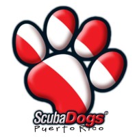 Scuba Dogs logo, Scuba Dogs contact details